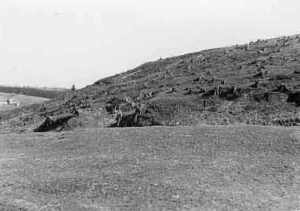 Der Ziegenberg in Buntenbock 1943