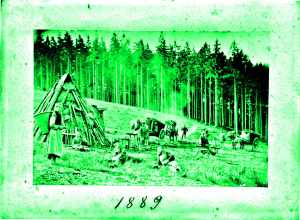 Web-Kreller-Fuhrleute-1889